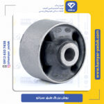 بوش بزرگ طبق کیا سراتو