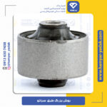 بوش بزرگ طبق کیا سراتو